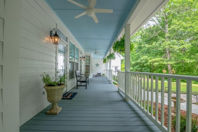 552 Dalrymple Cir, Ellijay, GA 30540 - photo 49