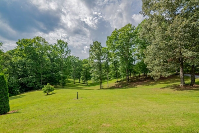 552 Dalrymple Cir, Ellijay, GA 30540 - photo 62