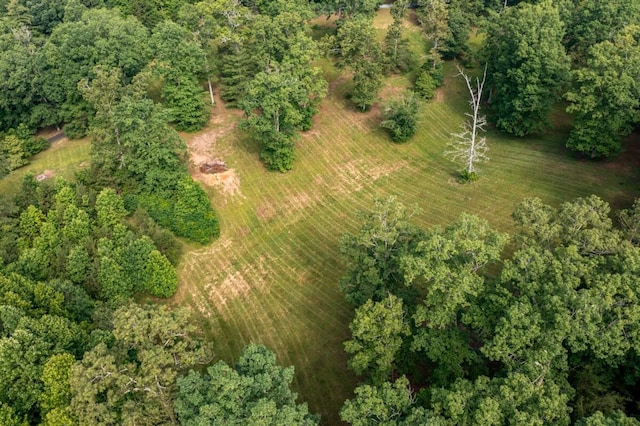 552 Dalrymple Cir, Ellijay, GA 30540 - photo 63