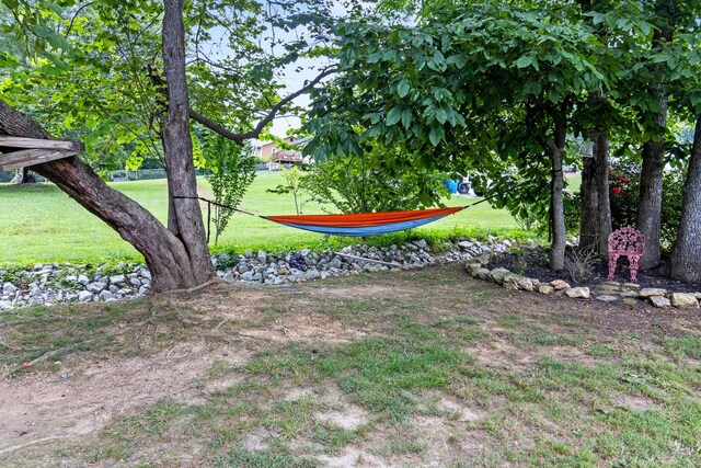 133 Wood Meadow Trl, Ringgold, GA 30736 - photo 40