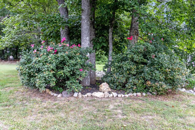133 Wood Meadow Trl, Ringgold, GA 30736 - photo 41