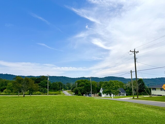 1828 Saunders Rd, Ringgold, GA 30736 - view of mountain background