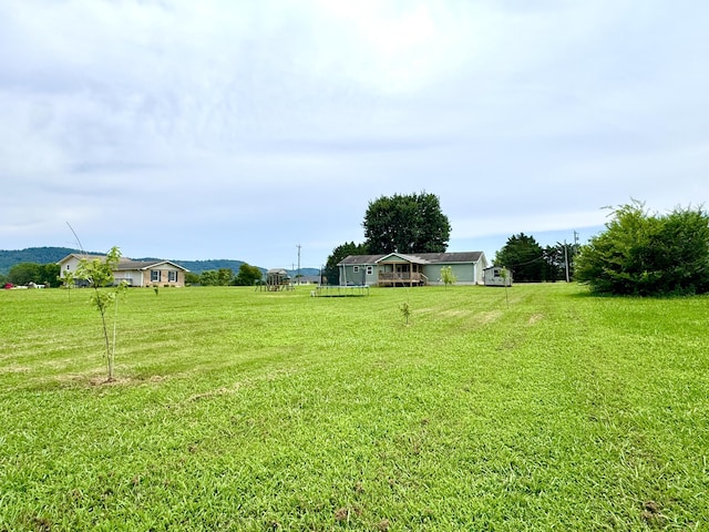 1828 Saunders Rd, Ringgold, GA 30736 - view of grassy yard