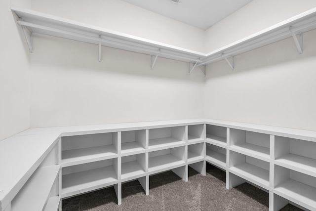 5644 Bungalow Cir, Hixson, TN 37343 - walk in closet with carpet