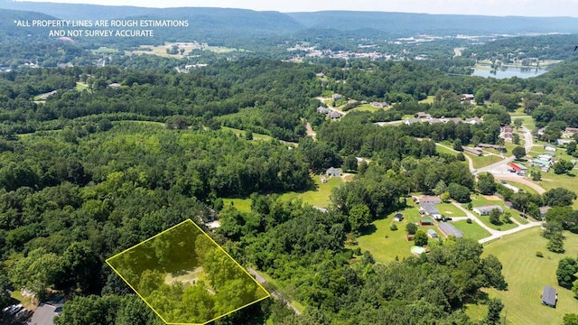 181 Allison Ln, Dayton, TN 37321 - photo 44
