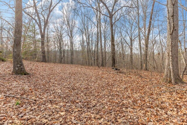 13AC Percheron Dr, Dalton, GA 30720