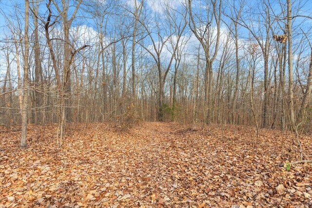 13AC Percheron Dr, Dalton, GA 30720