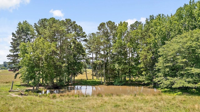 14.42AC Brow Rd, Trenton, GA 30752