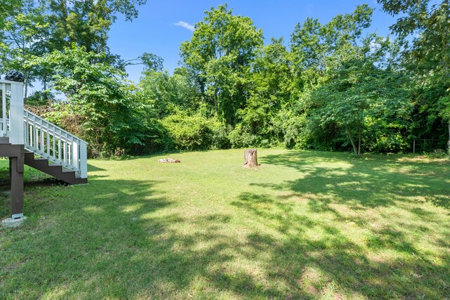 311 Tacoa Ave, Chattanooga, TN 37411 - photo 4