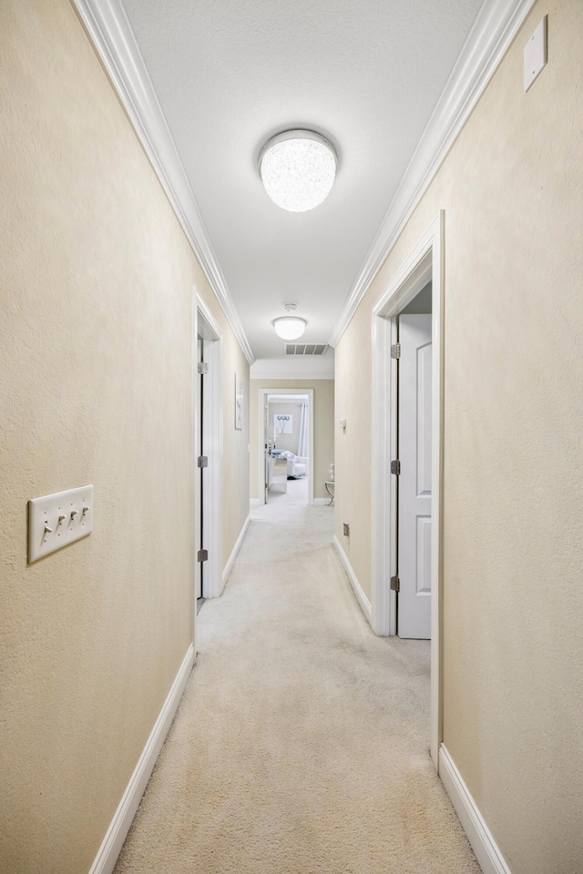 2507 Saint Lucie Ct, Chattanooga, TN 37421 - corridor with crown molding and light carpet