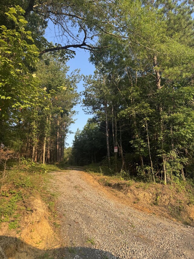 119 Hail Hollow Rd, Decatur, TN 37322 - photo 1