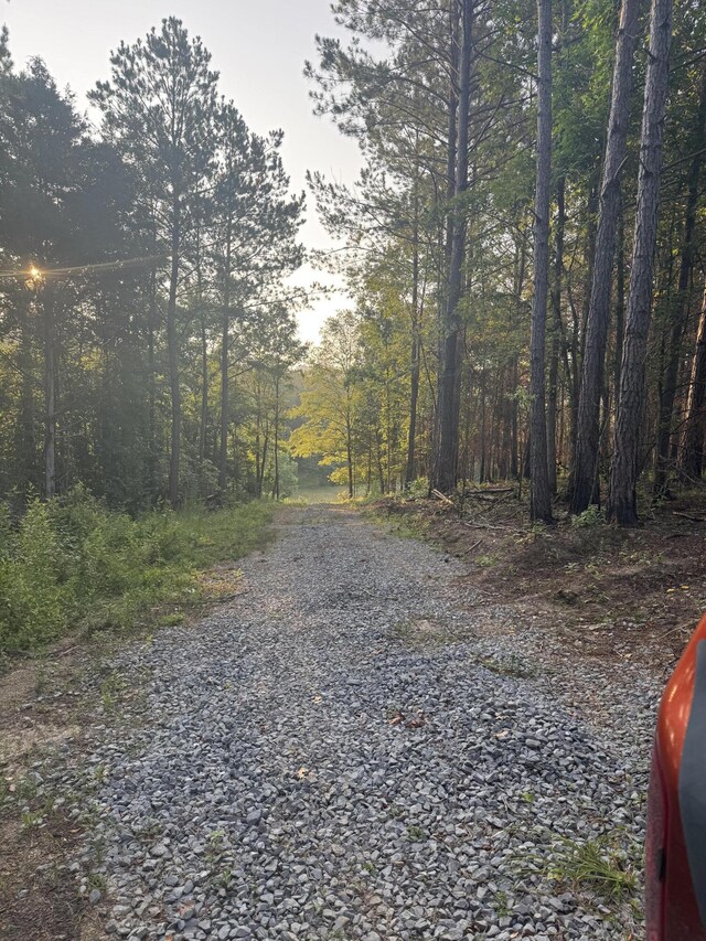 119 Hail Hollow Rd, Decatur, TN 37322 - photo 2