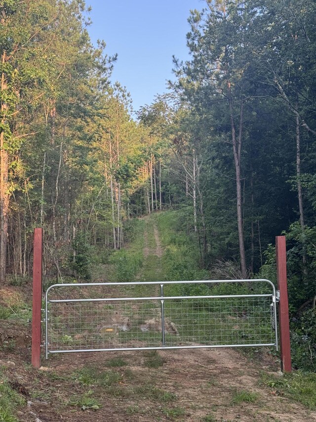 119 Hail Hollow Rd, Decatur, TN 37322 - photo 3