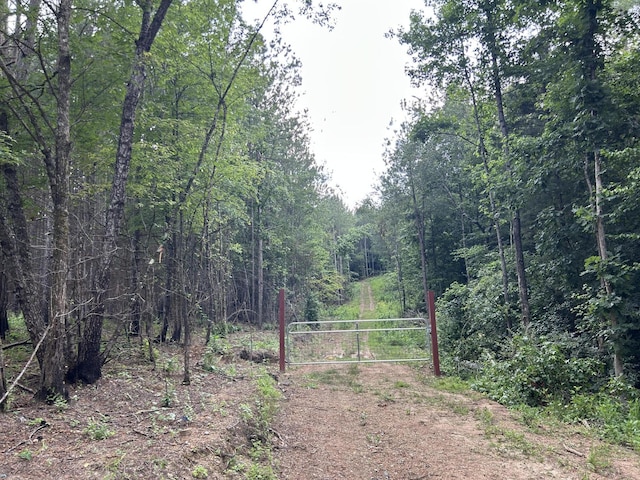 119 Hail Hollow Rd, Decatur, TN 37322 - photo 4