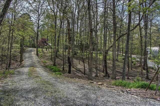 5432 Scenic Hwy, Rising Fawn, GA 30738 - photo 43