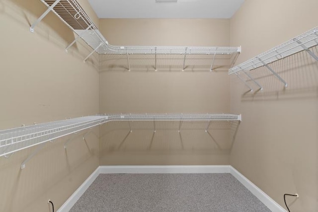 9624 Collier Pl, Ooltewah, TN 37363 - spacious closet with carpet floors