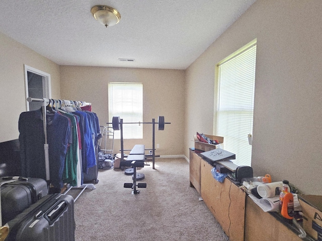 407 W 3rd St, Jasper, TN 37347 - workout room featuring carpet floors