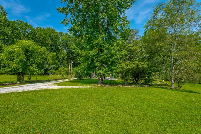 813 Mimosa Ave, Jasper, TN 37347 - photo 17