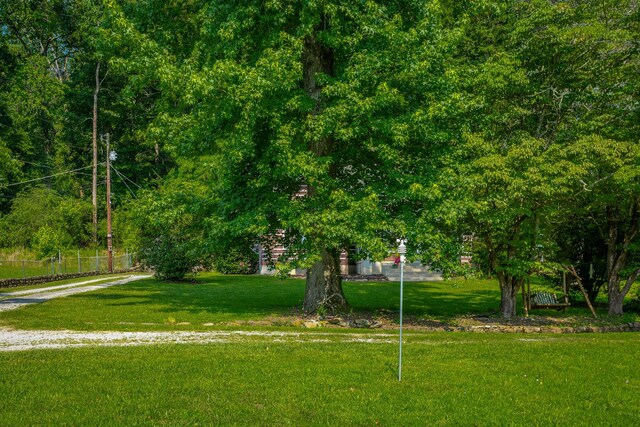 813 Mimosa Ave, Jasper, TN 37347 - photo 18