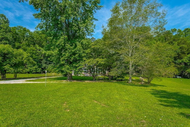 813 Mimosa Ave, Jasper, TN 37347 - photo 19