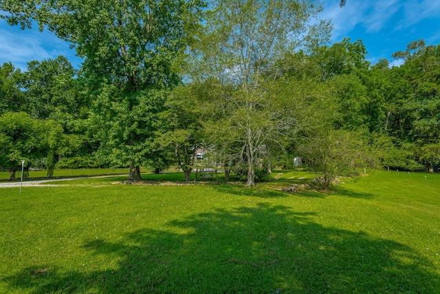 813 Mimosa Ave, Jasper, TN 37347 - photo 21