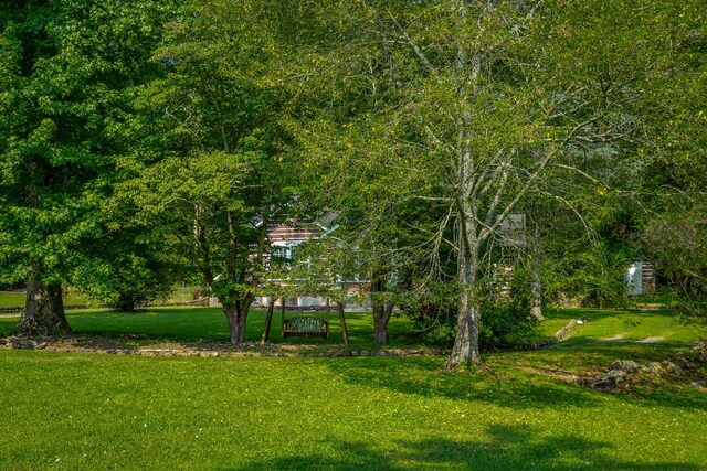 813 Mimosa Ave, Jasper, TN 37347 - photo 22