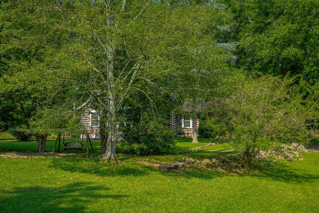 813 Mimosa Ave, Jasper, TN 37347 - photo 24