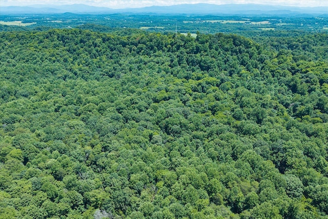 0 Hiwassee Rd, Sweetwater, TN 37874 - photo 2