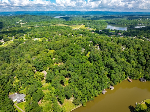 7306 Creek Ridge Dr, Harrison, TN 37341