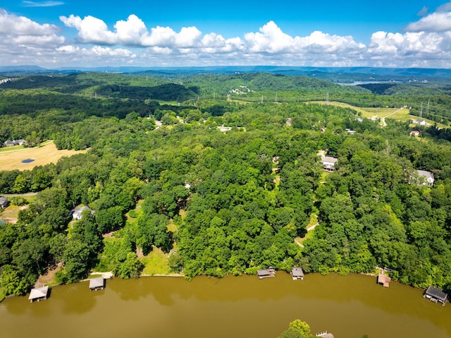 7306 Creek Ridge Dr, Harrison, TN 37341