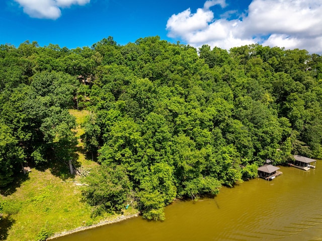 7306 Creek Ridge Dr, Harrison, TN 37341