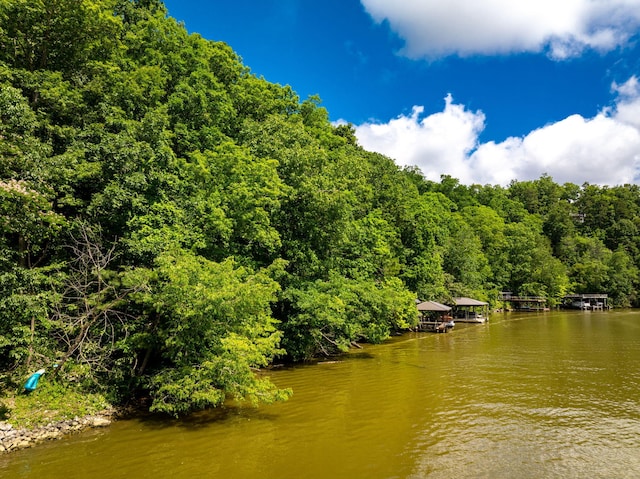 7306 Creek Ridge Dr, Harrison, TN 37341