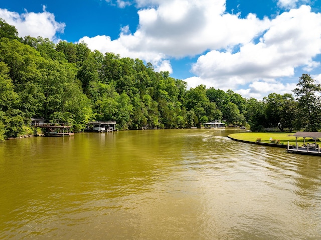 7306 Creek Ridge Dr, Harrison, TN 37341
