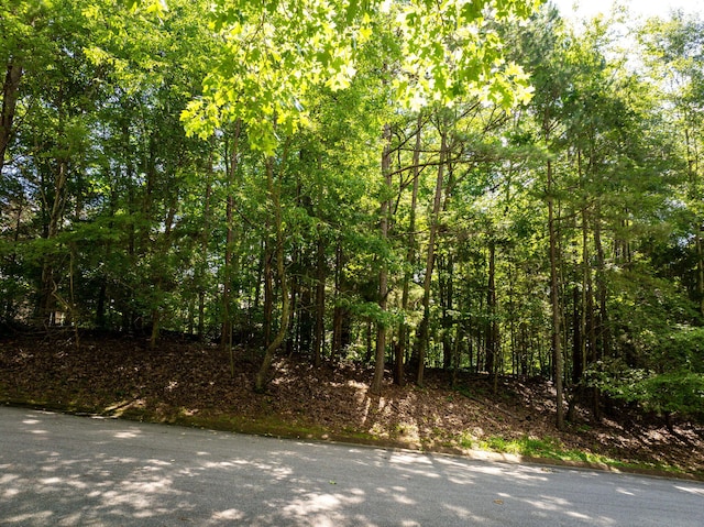 7306 Creek Ridge Dr, Harrison, TN 37341