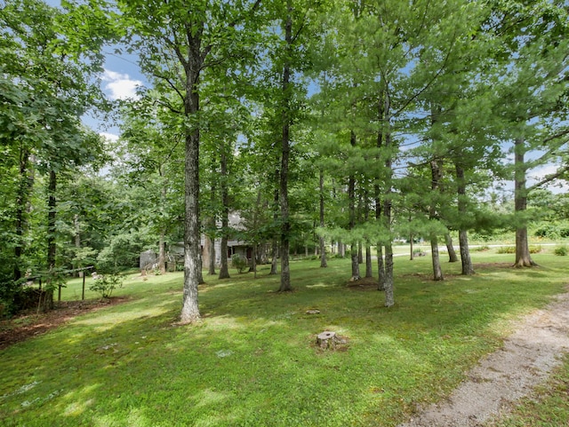 945 Miller Rd, Signal Mountain, TN 37377 - photo 6