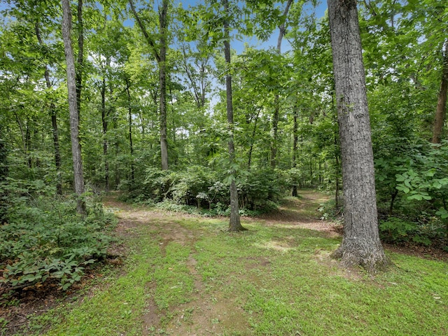 945 Miller Rd, Signal Mountain, TN 37377 - photo 11