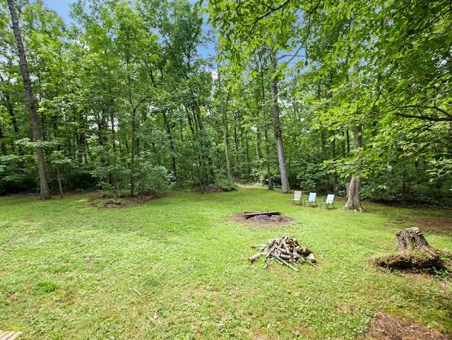 945 Miller Rd, Signal Mountain, TN 37377 - photo 12