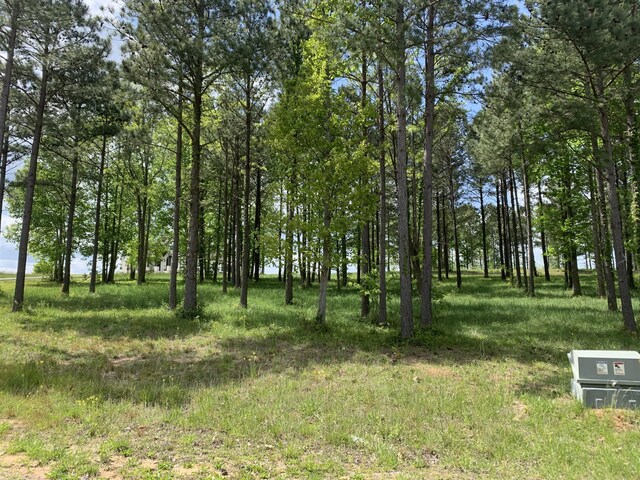 1130 Sunset Cir Unit Sv-126, Jasper, TN 37347 - photo 8