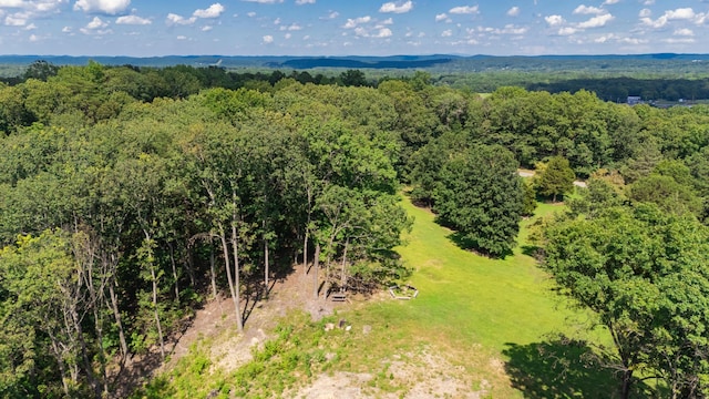 1480 Bicentennial Trl, Rock Spring, GA 30739 - photo 12