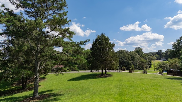 1480 Bicentennial Trl, Rock Spring, GA 30739 - photo 9