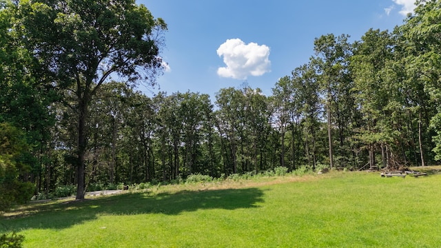 1480 Bicentennial Trl, Rock Spring, GA 30739 - photo 7