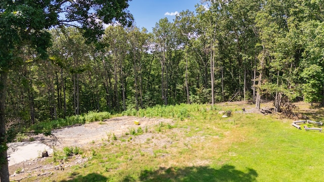 1480 Bicentennial Trl, Rock Spring, GA 30739 - photo 5