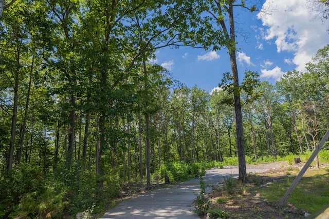 1480 Bicentennial Trl, Rock Spring, GA 30739 - photo 4