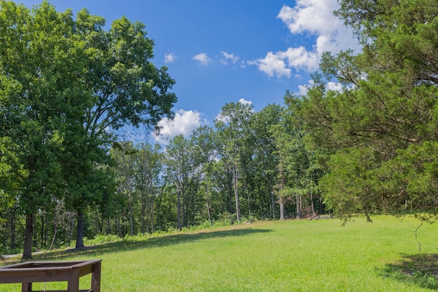 1480 Bicentennial Trl, Rock Spring, GA 30739 - photo 6