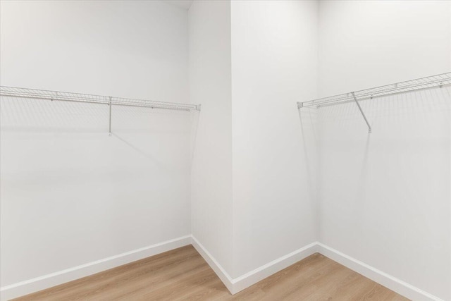 845 James Ave, Chattanooga, TN 37421 - spacious closet with light wood-style floors
