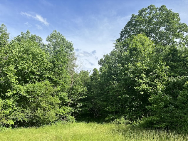 0 Bolton Rd, Jasper, TN 37347 - photo 4