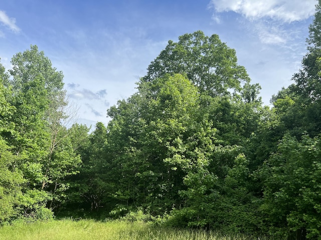 0 Bolton Rd, Jasper, TN 37347 - photo 5