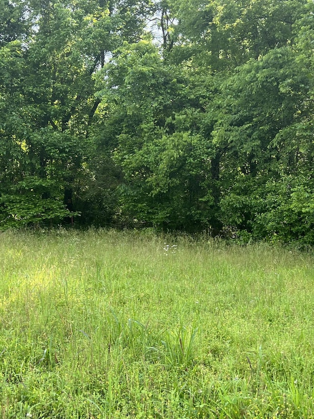 0 Bolton Rd, Jasper, TN 37347 - photo 6