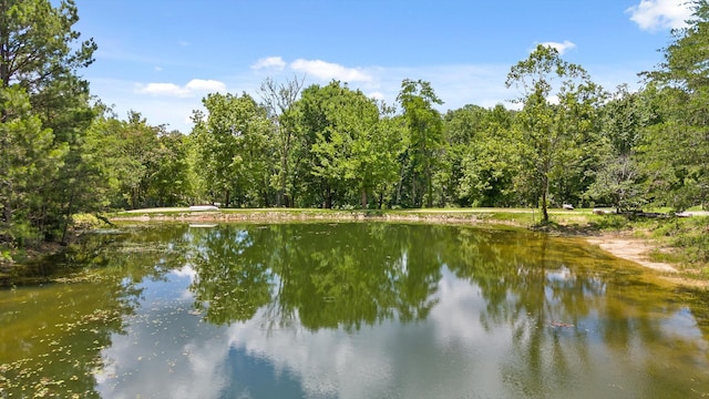 0 Maple Leaf Trl Lot 10, Lookout Mountain, GA 30750