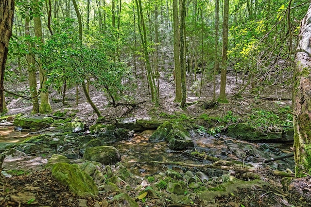 0 Maple Leaf Trl Lot 10, Lookout Mountain, GA 30750